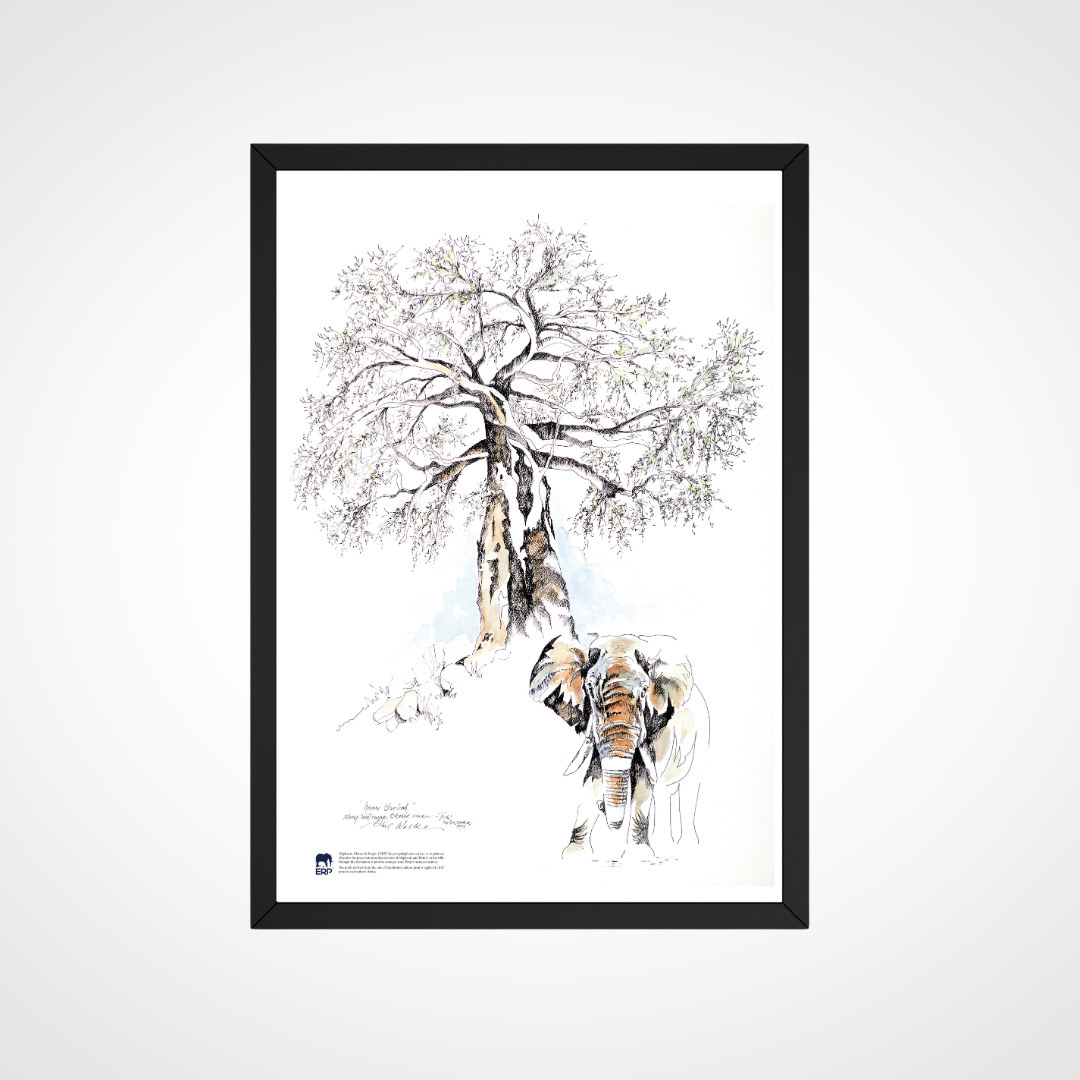 Clive Walker - Small Elephant with Big Tree