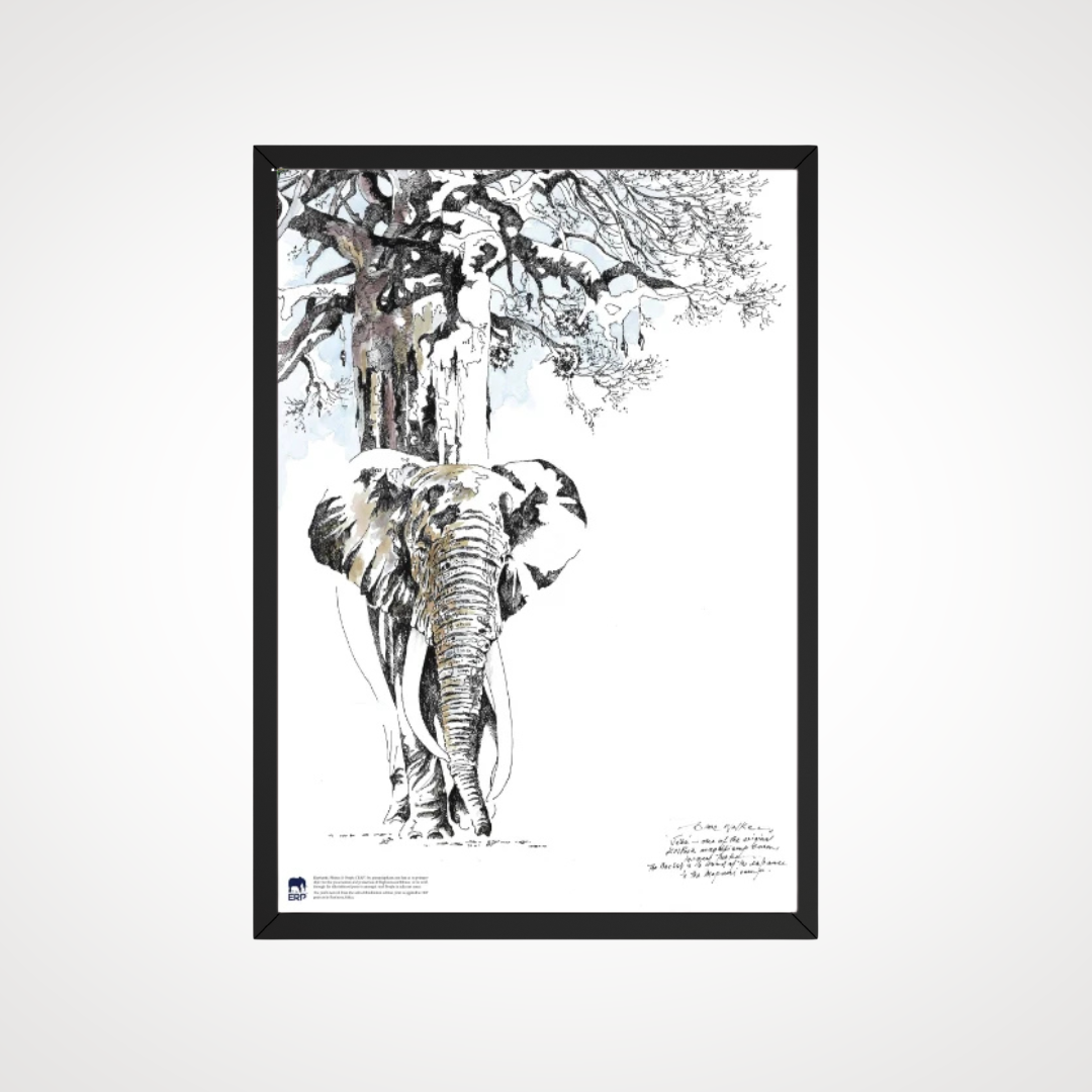 Clive Walker - Big Elephant with Tree