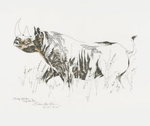 Load image into Gallery viewer, Big 5 Wild Life Print, Rhino