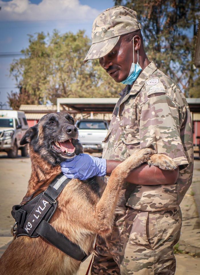 The ERP Rangers Team