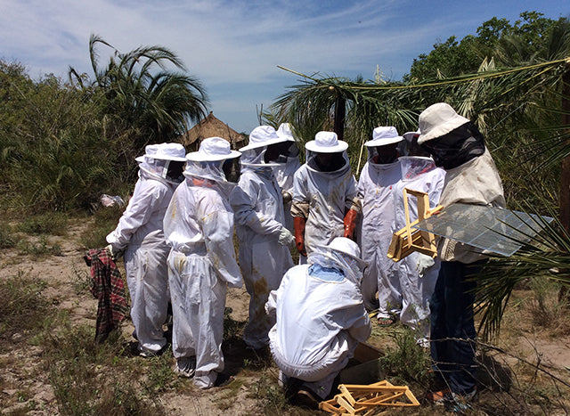 HUMAN-ELEPHANT CONFLICT