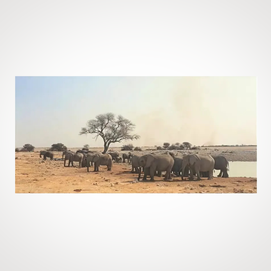 Short Silk Scarf- Elephant