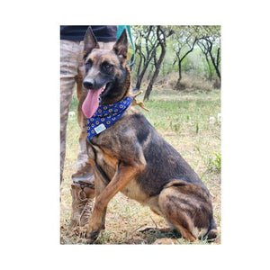 Shweshwe Pet Bandana in support of "ERP Canine Project"