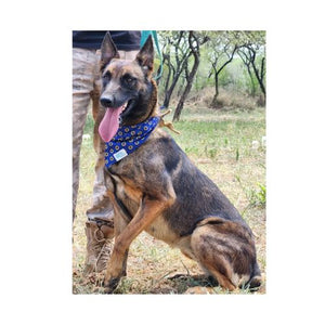 Shweshwe Pet Bandana in support of "ERP Canine Project"