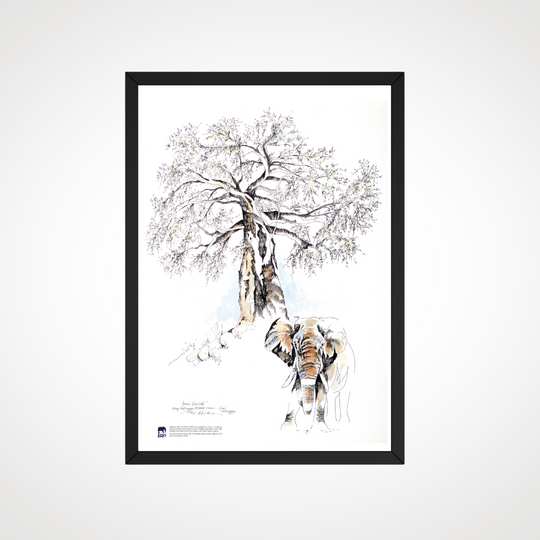 Clive Walker - Small Elephant with Big Tree