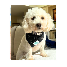 Load image into Gallery viewer, Shweshwe Pet Bandana in support of &quot;ERP Canine Project&quot;