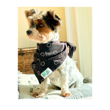 Load image into Gallery viewer, Shweshwe Pet Bandana in support of &quot;ERP Canine Project&quot;