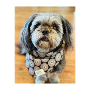 Shweshwe Pet Bandana in support of "ERP Canine Project"