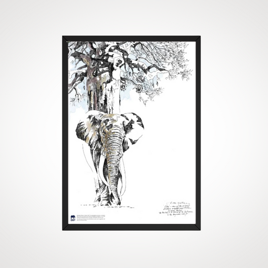 Clive Walker - Big Elephant with Tree