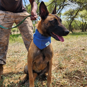 Shweshwe Pet Bandana in support of "ERP Canine Project"