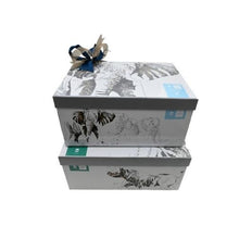 Load image into Gallery viewer, Welcome Baby Gift Box