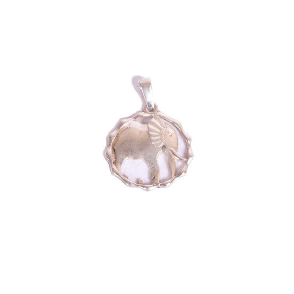 ERP Logo Pendant