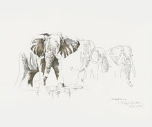 Load image into Gallery viewer, Big 5 Wild Life Prints, Elephant