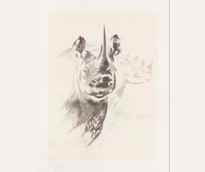 Clive Walker - Rhino Pair